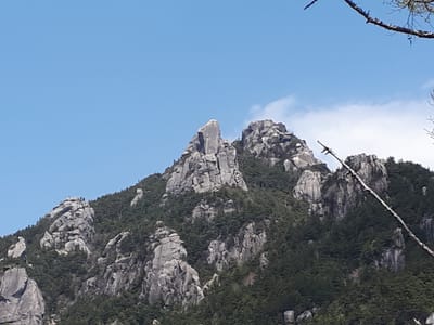 20190513_120326.jpg
