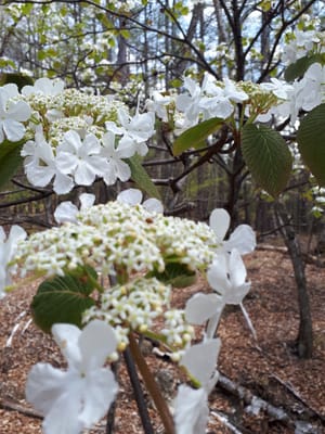 20190513_123355.jpg