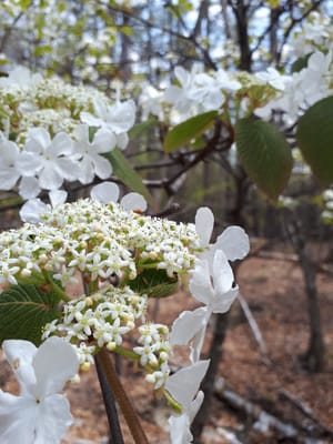 20190513_123358.jpg