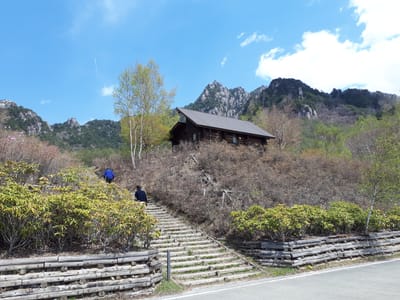 20190513_124604.jpg