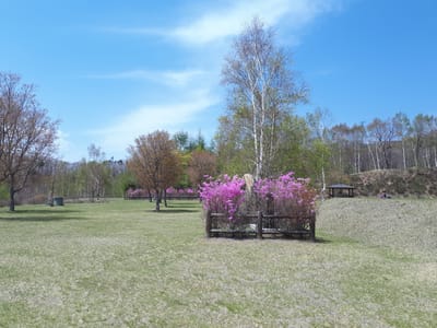 20190513_124652.jpg