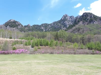 20190513_124715.jpg