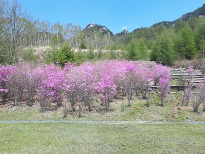20190513_124957.jpg