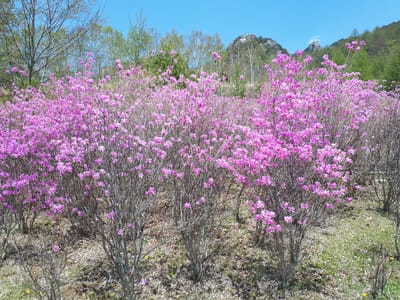 20190513_125005.jpg
