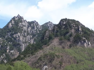 20190513_125549.jpg