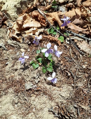 20190513_125724.jpg