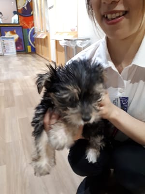 20190514_114024.jpg