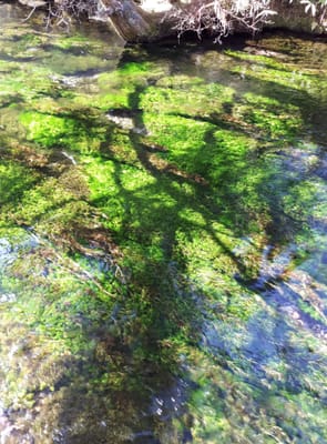 20190514_184815.jpg