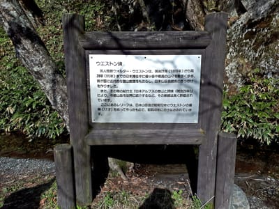 20190514_185228.jpg