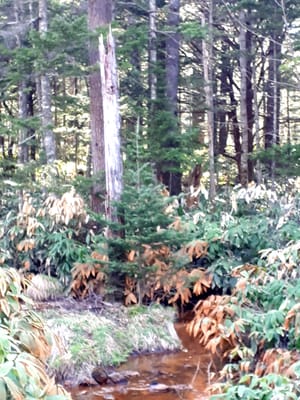 20190514_205943.jpg