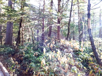 20190514_210020.jpg