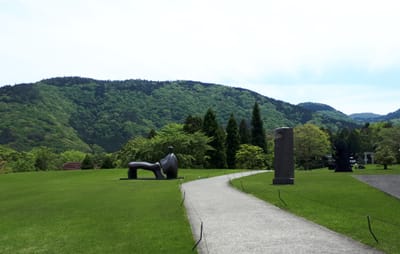 20190514_212727.jpg