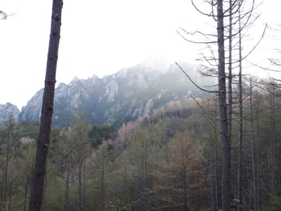 20190515_215807.jpg