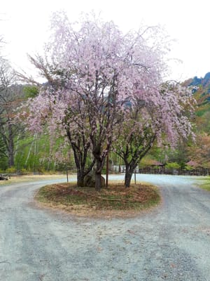 20190515_215945.jpg