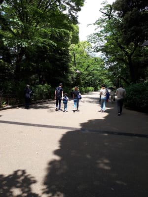 20190516_105717.jpg