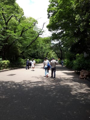 20190516_105740.jpg