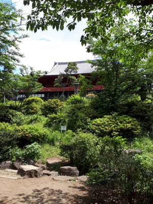 20190516_105851.jpg