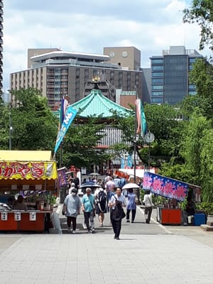 20190516_110018.jpg