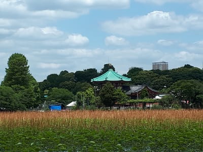 20190516_111057.jpg