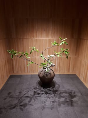 20190516_143343.jpg