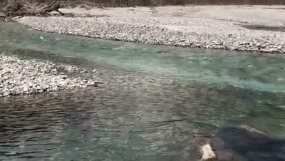 received_2268754683209425.mp4