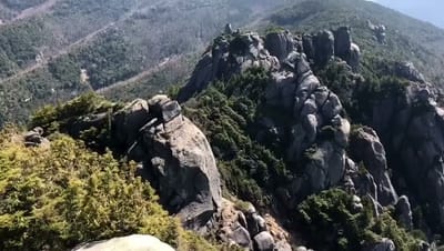 received_2304126506478087.mp4