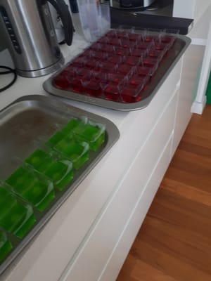 20190124_144452.jpg