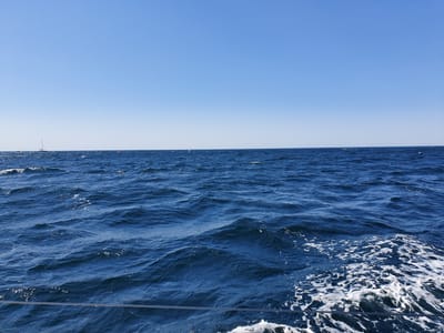 20191004_100633.jpg