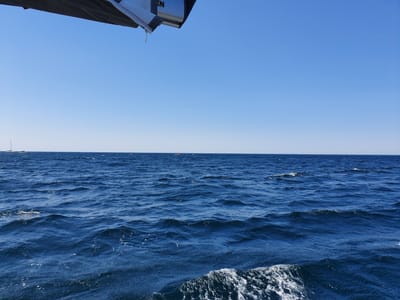 20191004_100645.jpg