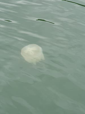 20191005_130656.jpg