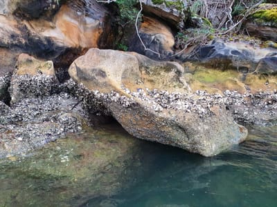 20191005_171331.jpg