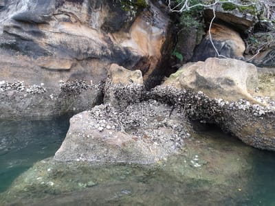 20191005_171333.jpg