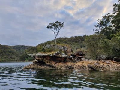 20191005_171516.jpg