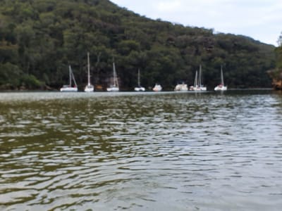 20191005_172021.jpg