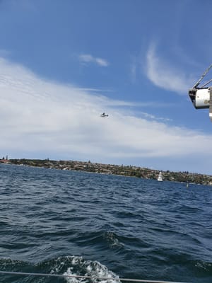 20191006_115329.jpg