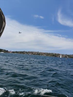 20191006_115332.jpg