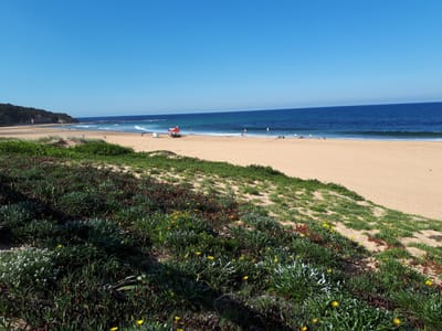 20190413_140903.jpg