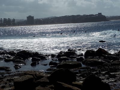 20190419_132909.jpg
