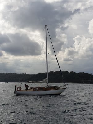 20190602_124501.jpg