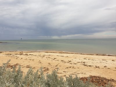 20190329_132536.jpg
