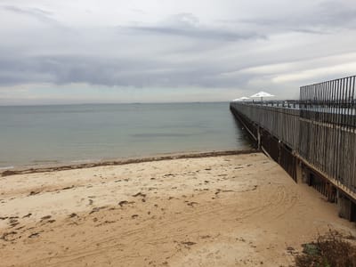20190329_132606.jpg