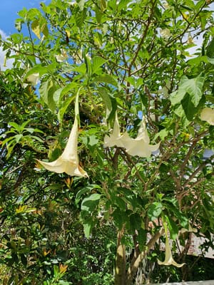 20190928_105611.jpg