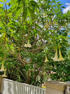 20190928_105618.jpg