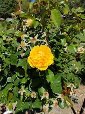 20191113_100644.jpg