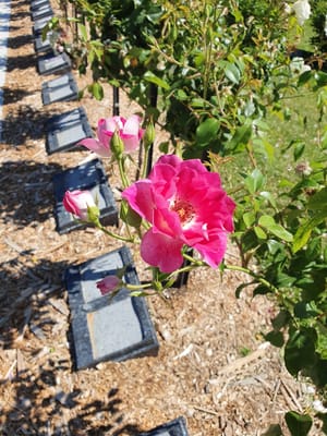 20191113_100653.jpg