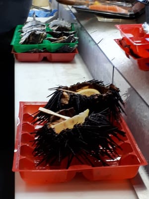 20190803_142939.jpg