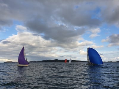 20190412_155645.jpg