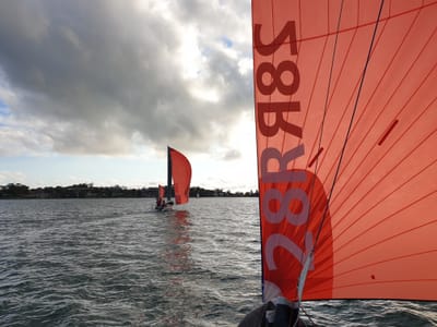 20190412_162417.jpg