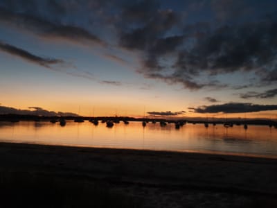 20190412_180258.jpg