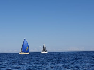 20190413_145752.jpg